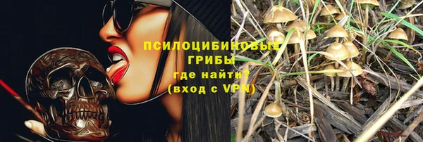 дмт Богородск