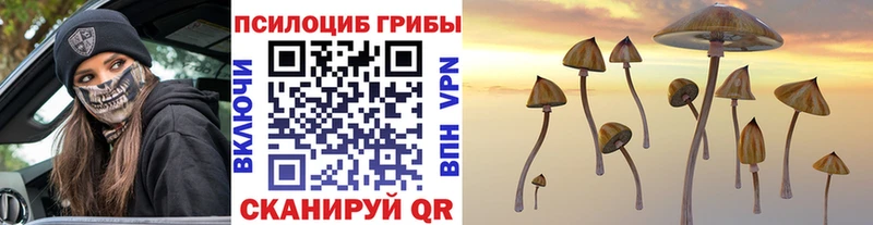 Галлюциногенные грибы прущие грибы  хочу   Киреевск 